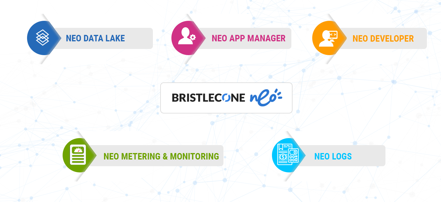 Bristlecone