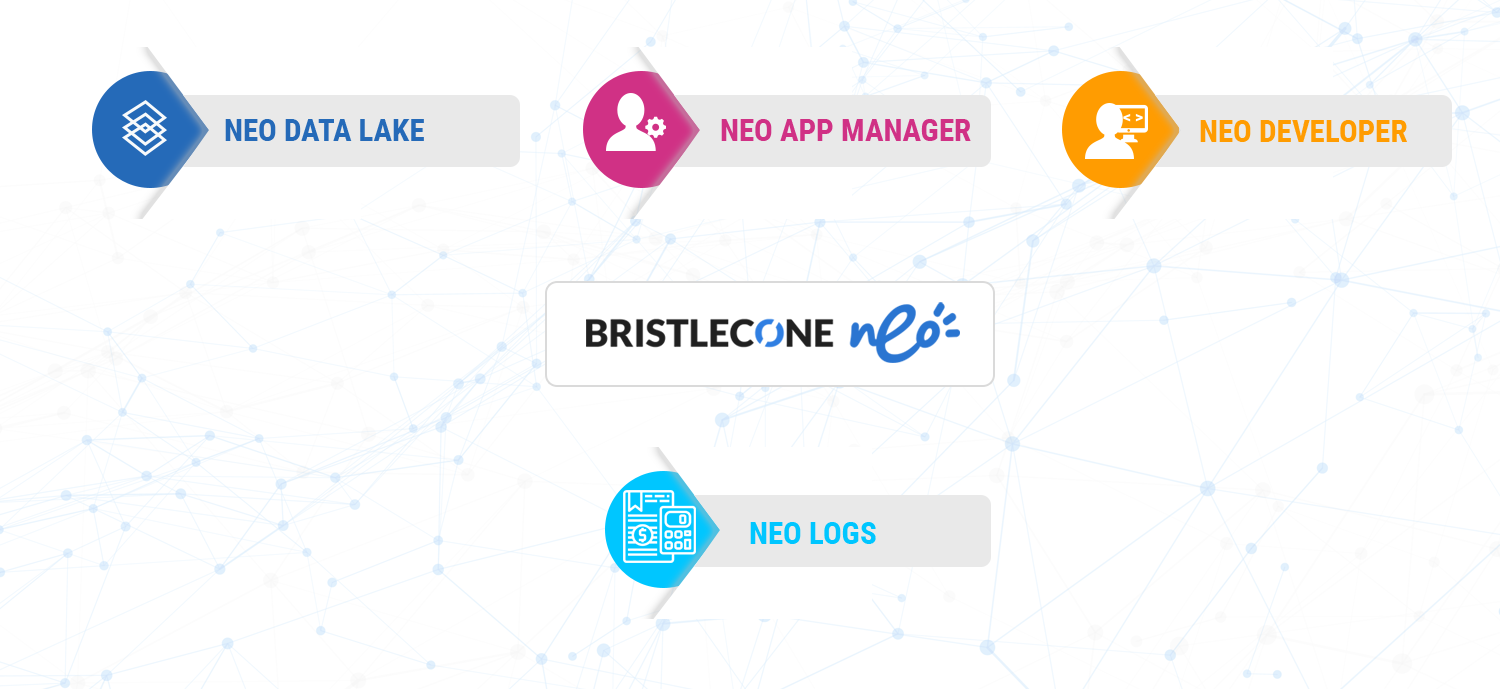 Bristlecone